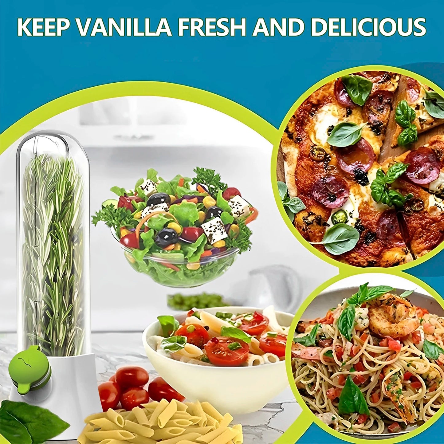 Herb Saver Pod – Fresh Keeper for Kitchen