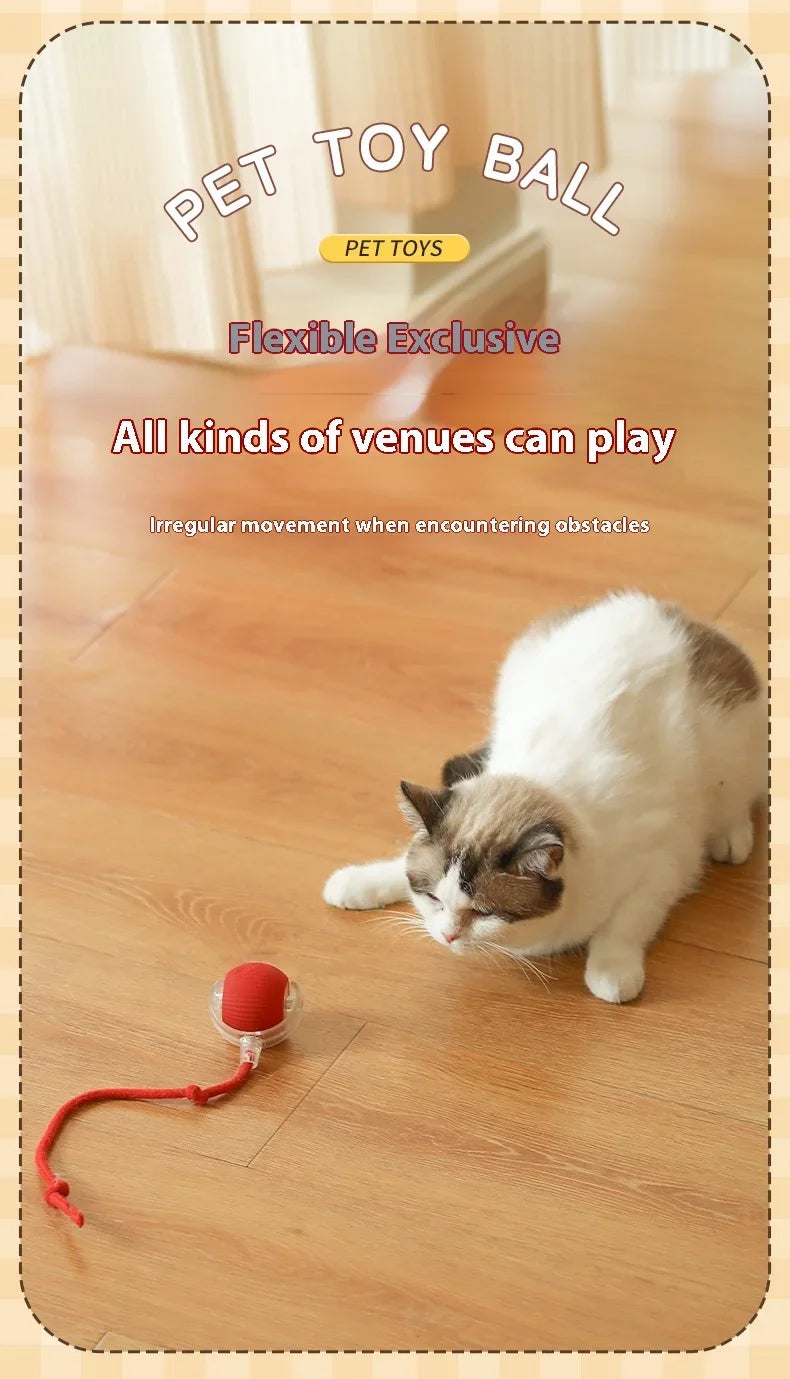 Smart Rolling Cat Toy Ball USB Rechargeable