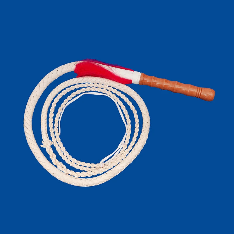 Wushu Cowhide Leather Whip with Wood Handle