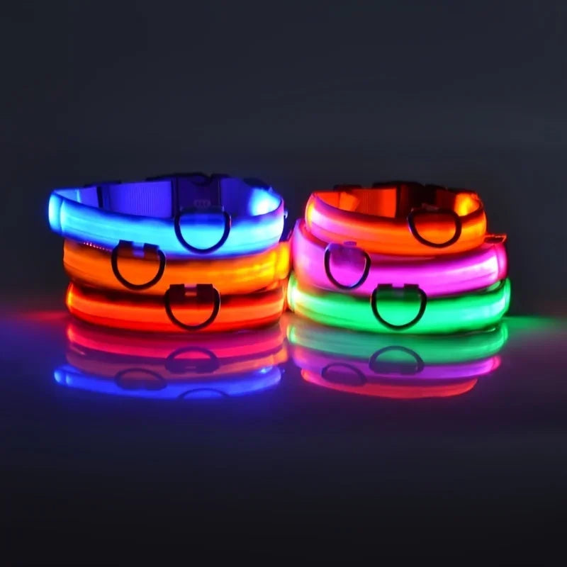 LED Nylon Dog Leash & Glowing Collar - Clickilix