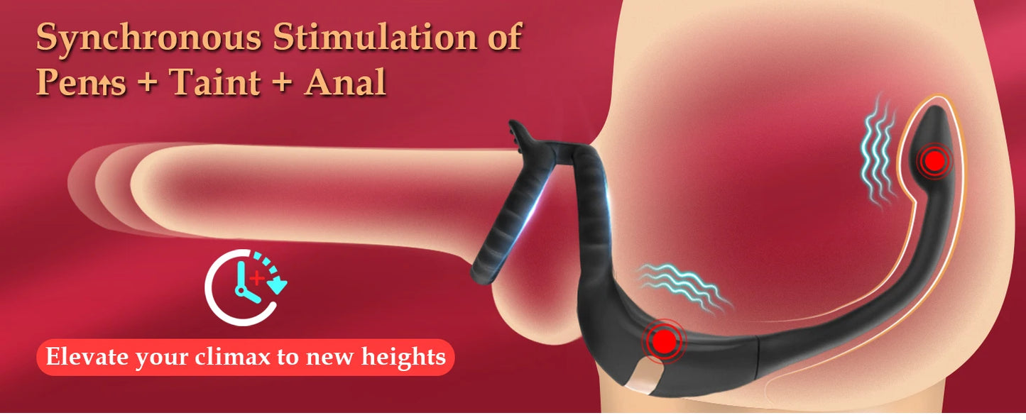 Remote Vibrating Cock Ring with Anal Stimulator