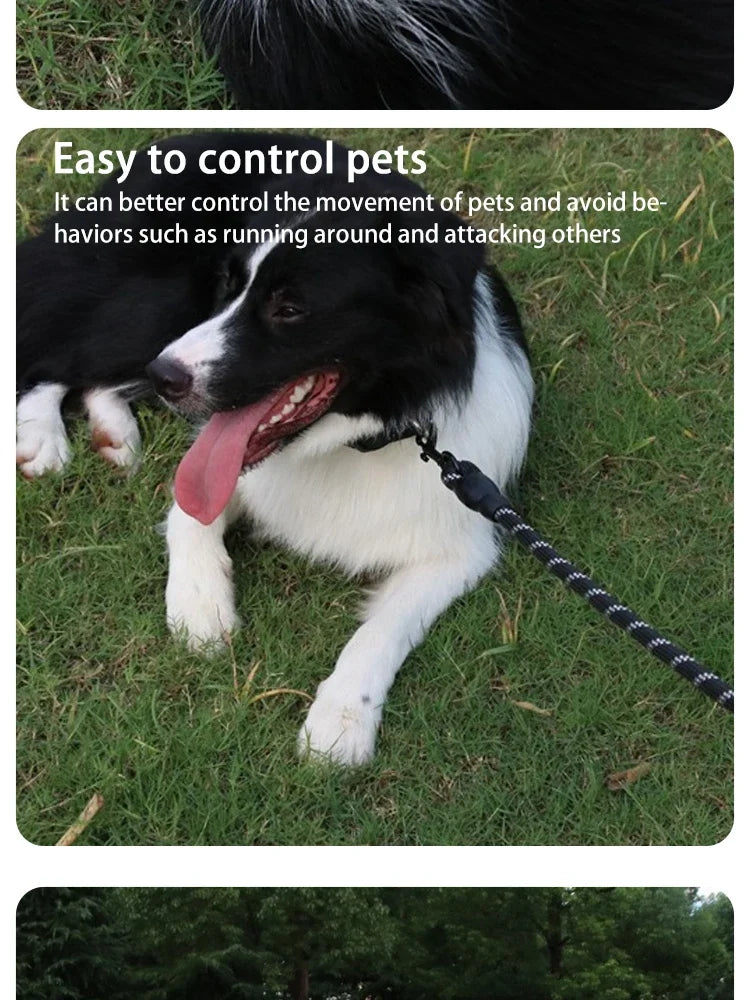 Pet Reflective Nylon Round Leash – Safe & Stylish Walks for Your Dog!