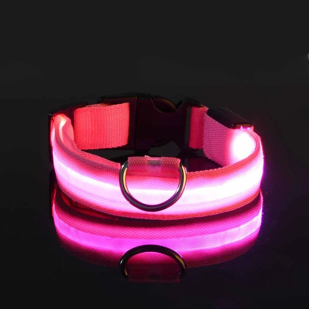LED Nylon Dog Leash & Glowing Collar - Clickilix