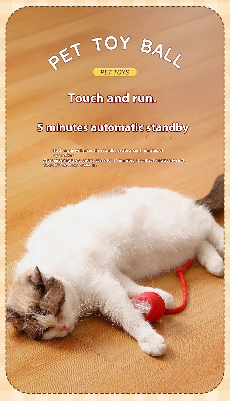 Smart Rolling Cat Toy Ball USB Rechargeable