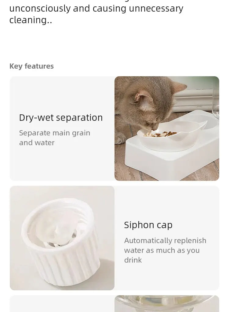 2-in-1 Tilted Pet Bowl & Water Feeder – Eat Smart, Drink Easy!