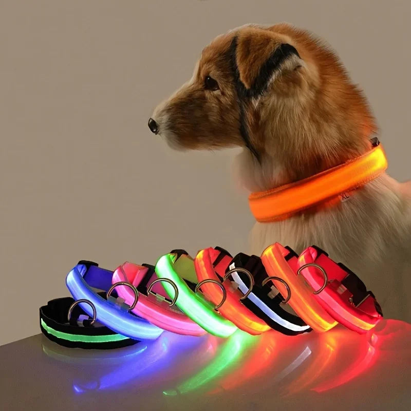 LED Nylon Dog Leash & Glowing Collar - Clickilix
