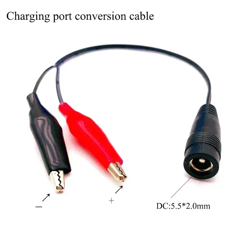 12V LiFePO4 Battery Pack with BMS + Charger