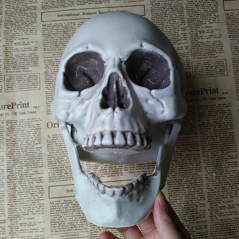Artificial Skull Head Halloween Decoration Ornament