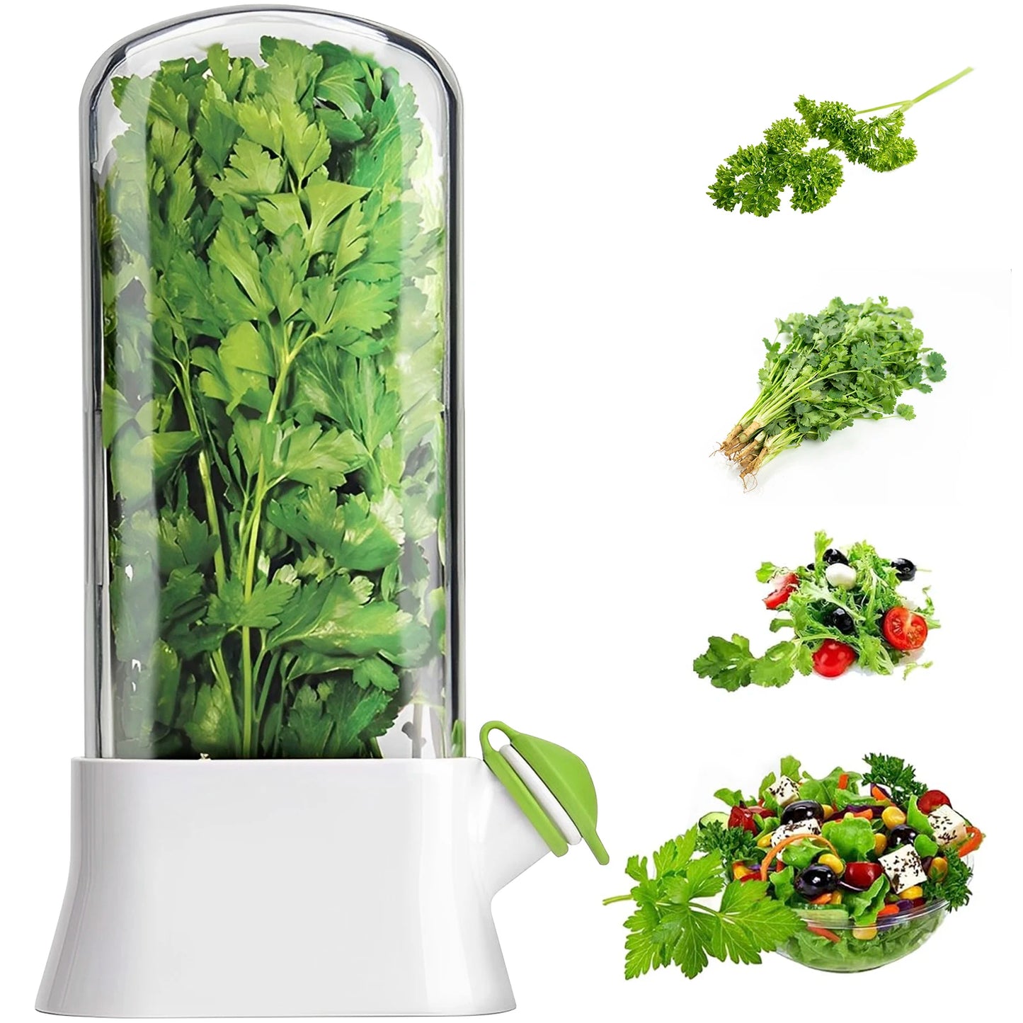 Herb Saver Pod – Fresh Keeper for Refrigerator