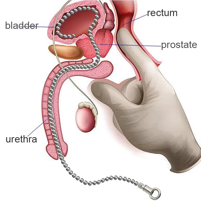 30/50cm Long Urethral Catheter Plug