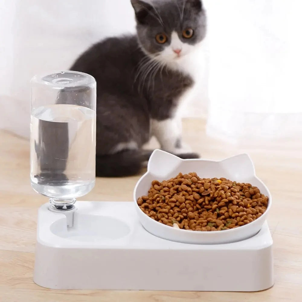 2-in-1 Tilted Pet Bowl & Water Feeder – Eat Smart, Drink Easy!