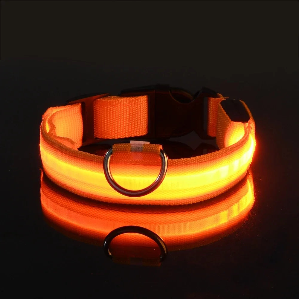 LED Nylon Dog Leash & Glowing Collar - Clickilix