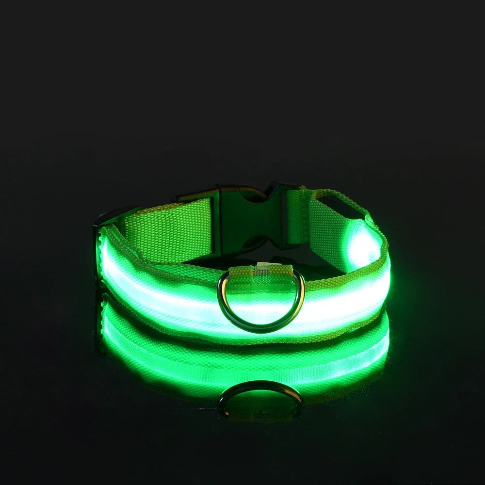LED Nylon Dog Leash & Glowing Collar - Clickilix