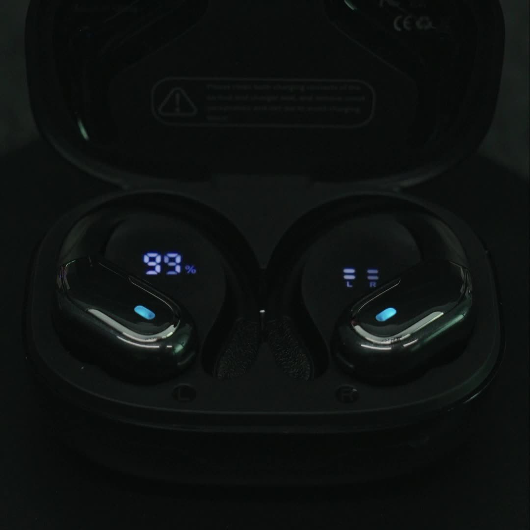 LIFEBEE Wireless Earbuds with Pure Bass & Earhooks - Clickilix