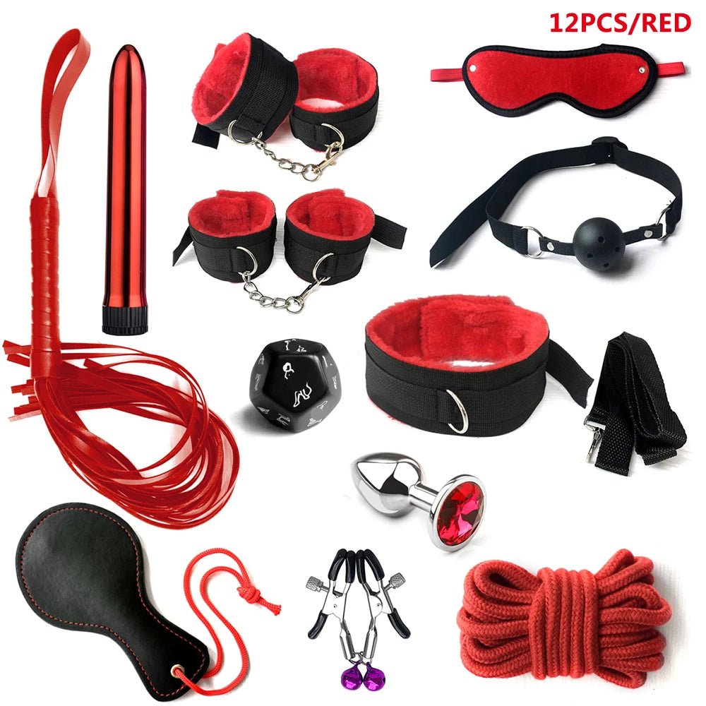 Complete BDSM Kit with Whip, Gag & Tail Plug