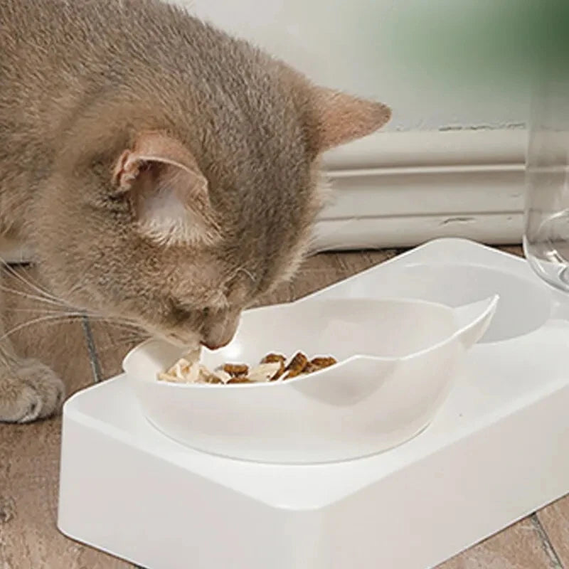 2-in-1 Tilted Pet Bowl & Water Feeder – Eat Smart, Drink Easy!