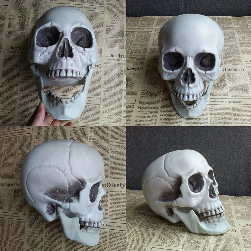 Artificial Skull Head Halloween Decoration Ornament