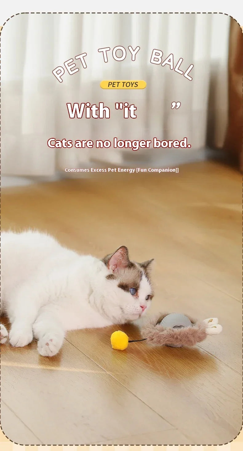 Smart Rolling Cat Toy Ball USB Rechargeable
