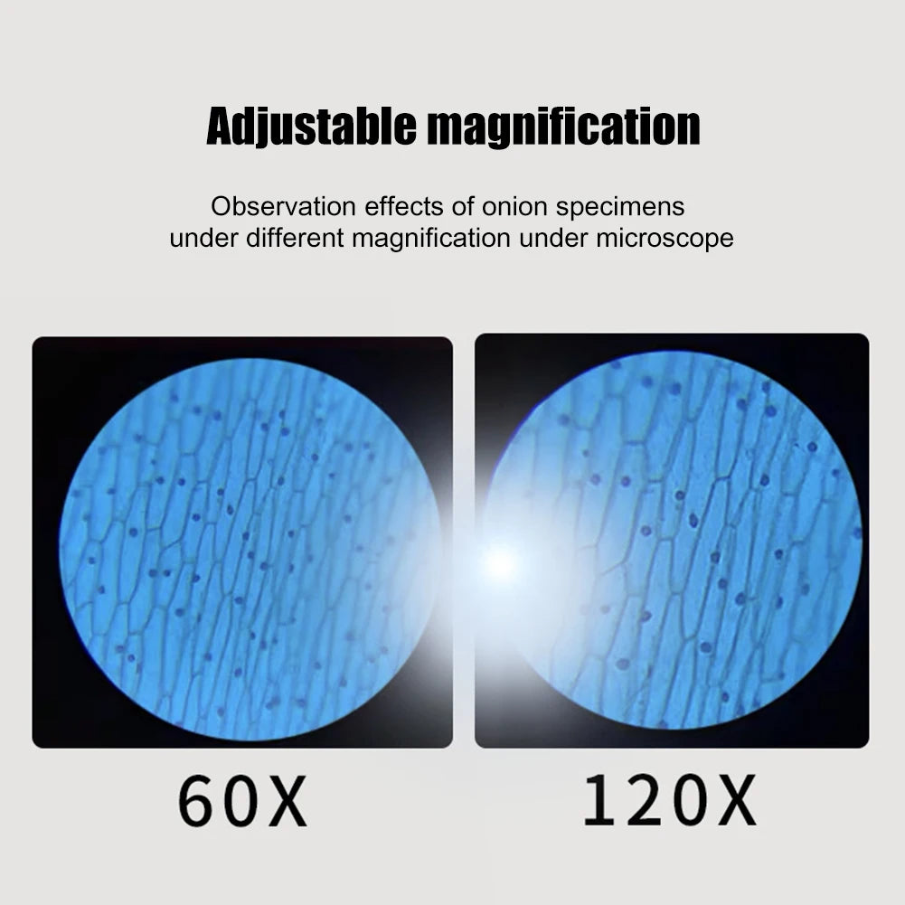 Mini Pocket Microscope 60–120X With LED Light