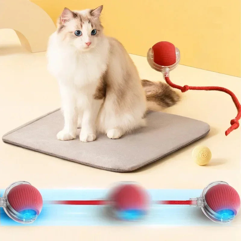 Smart Rolling Cat Toy Ball USB Rechargeable