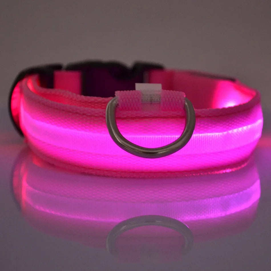 LED Nylon Dog Leash & Glowing Collar - Clickilix