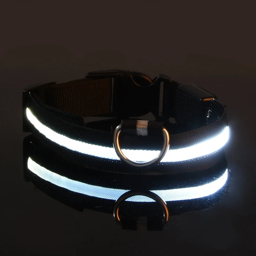 LED Nylon Dog Leash & Glowing Collar - Clickilix