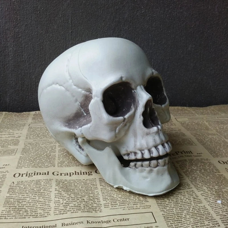 Artificial Skull Head Halloween Decoration Ornament