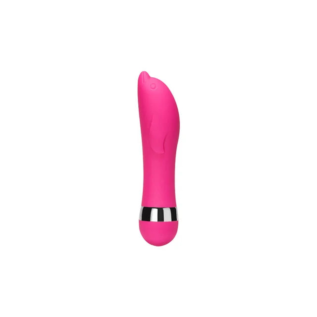 Female Clit Stimulator Bullet & Vaginal Balls