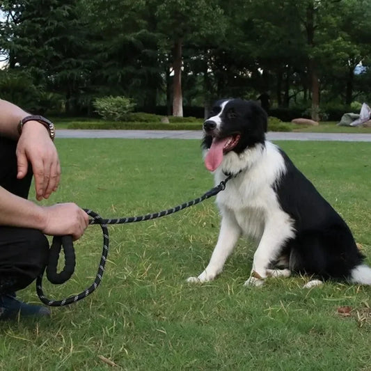 Pet Reflective Nylon Round Leash – Safe & Stylish Walks for Your Dog!