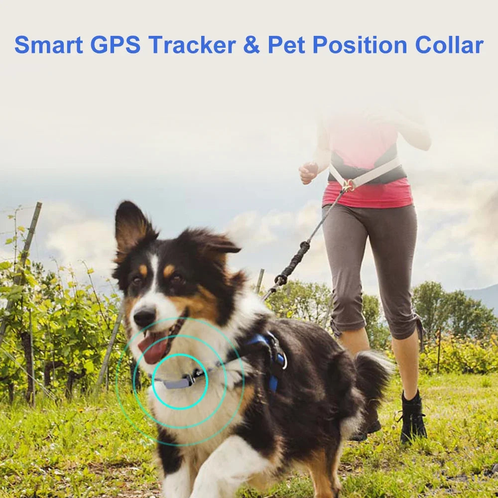 2024 Smart GPS Pet Tracker Collar IP67