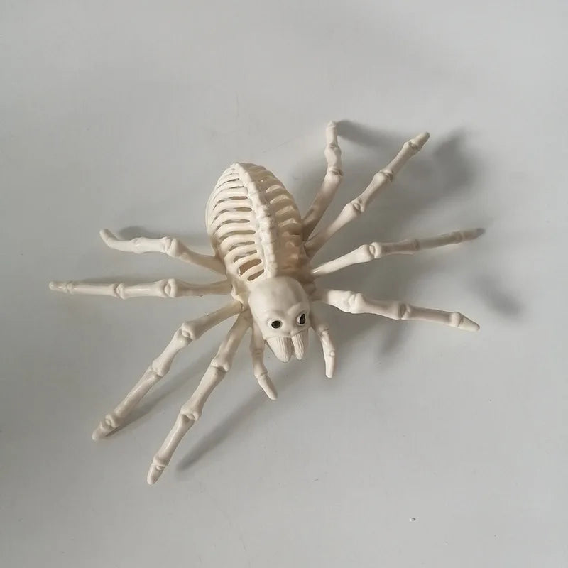 Realistic Skeleton Props with Bats & Scorpions