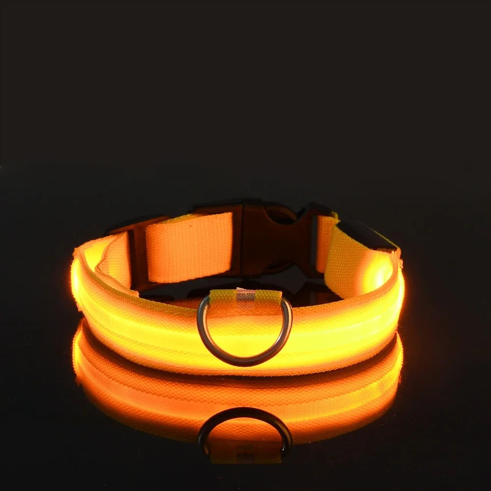 LED Nylon Dog Leash & Glowing Collar - Clickilix
