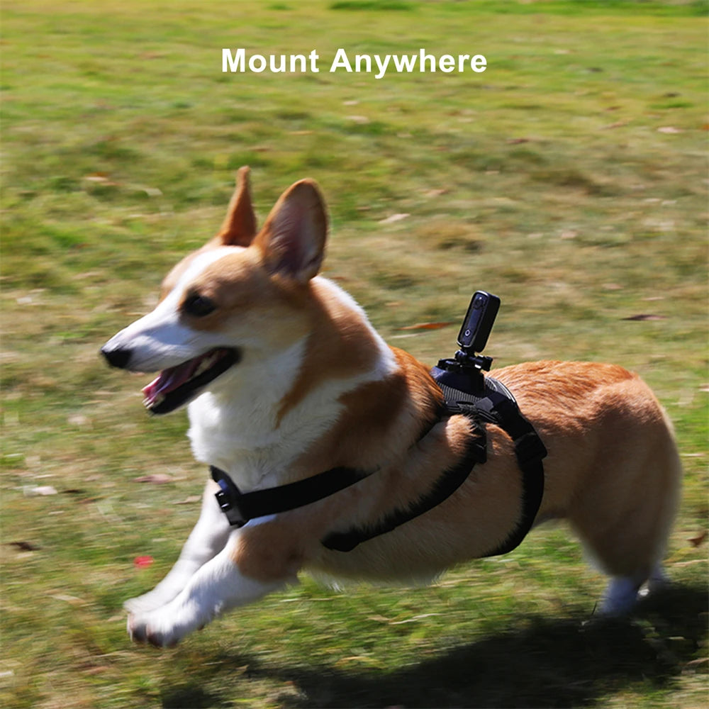 Capture every moment with SJCAM C100 Plus 4K Action Camera!