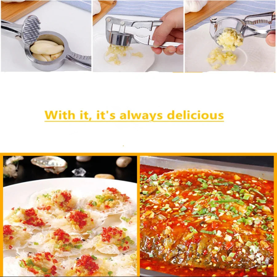 Stainless Steel Garlic Press Crusher Tool