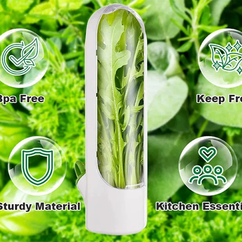 Herb Saver Container for Fresh Storage