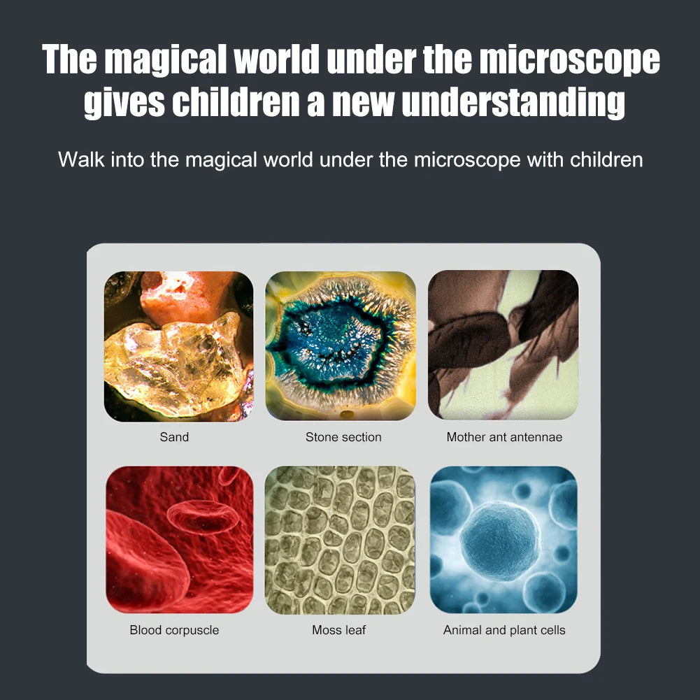 Mini Pocket Microscope 60–120X With LED Light