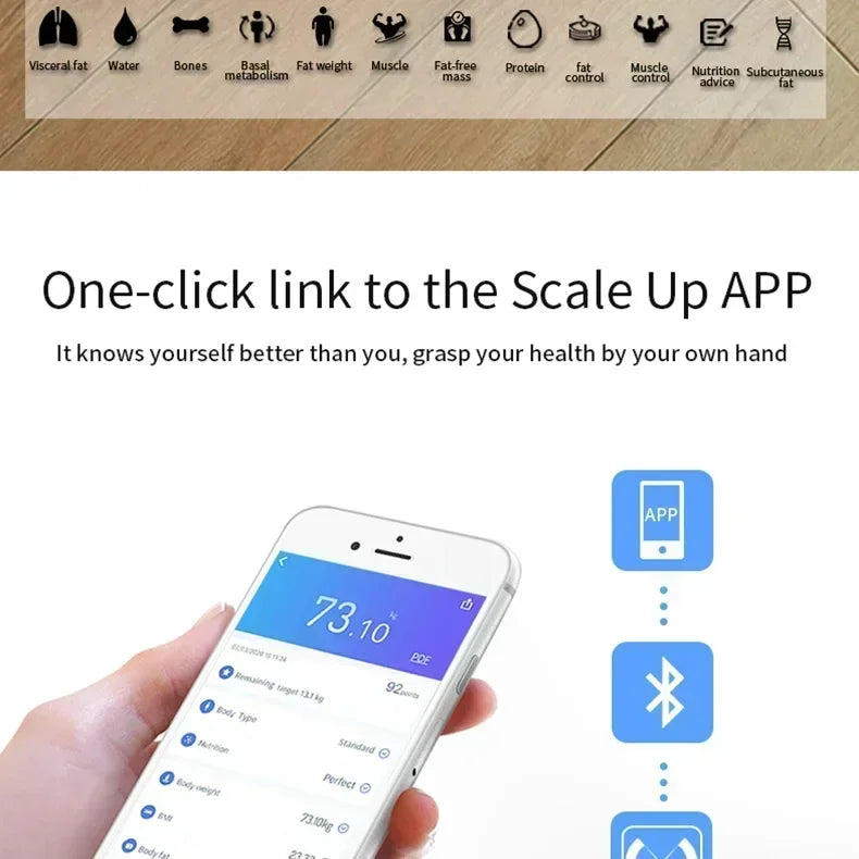 Smart Body Fat Scale Display