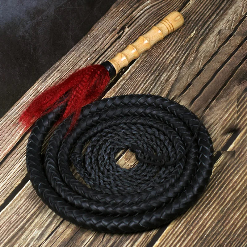 Cowhide Martial Arts Whip for Wushu & Fitness