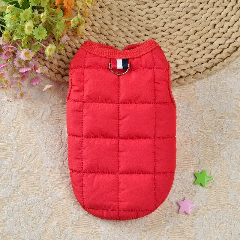 Winter Cotton Dog Vest Coat – Warm & Windproof for Small & Medium Dogs!
