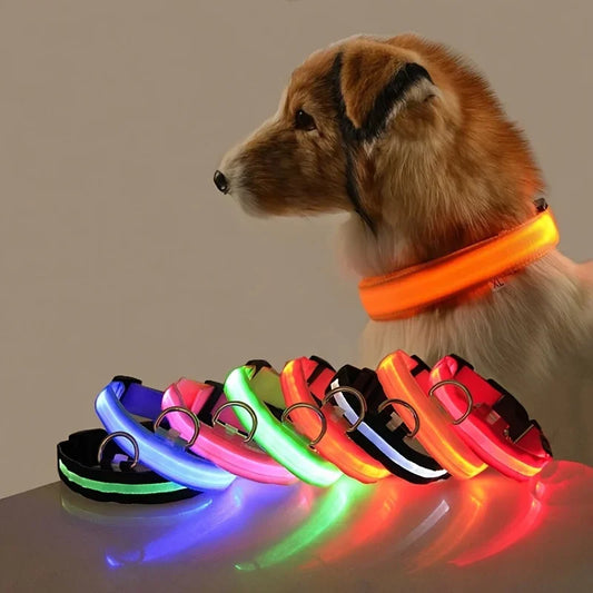 LED Nylon Dog Leash & Glowing Collar - Clickilix