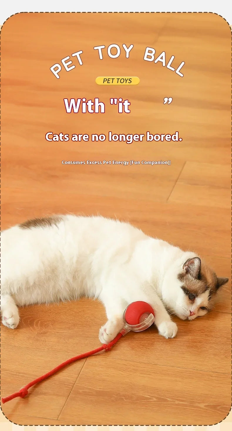 Smart Rolling Cat Toy Ball USB Rechargeable
