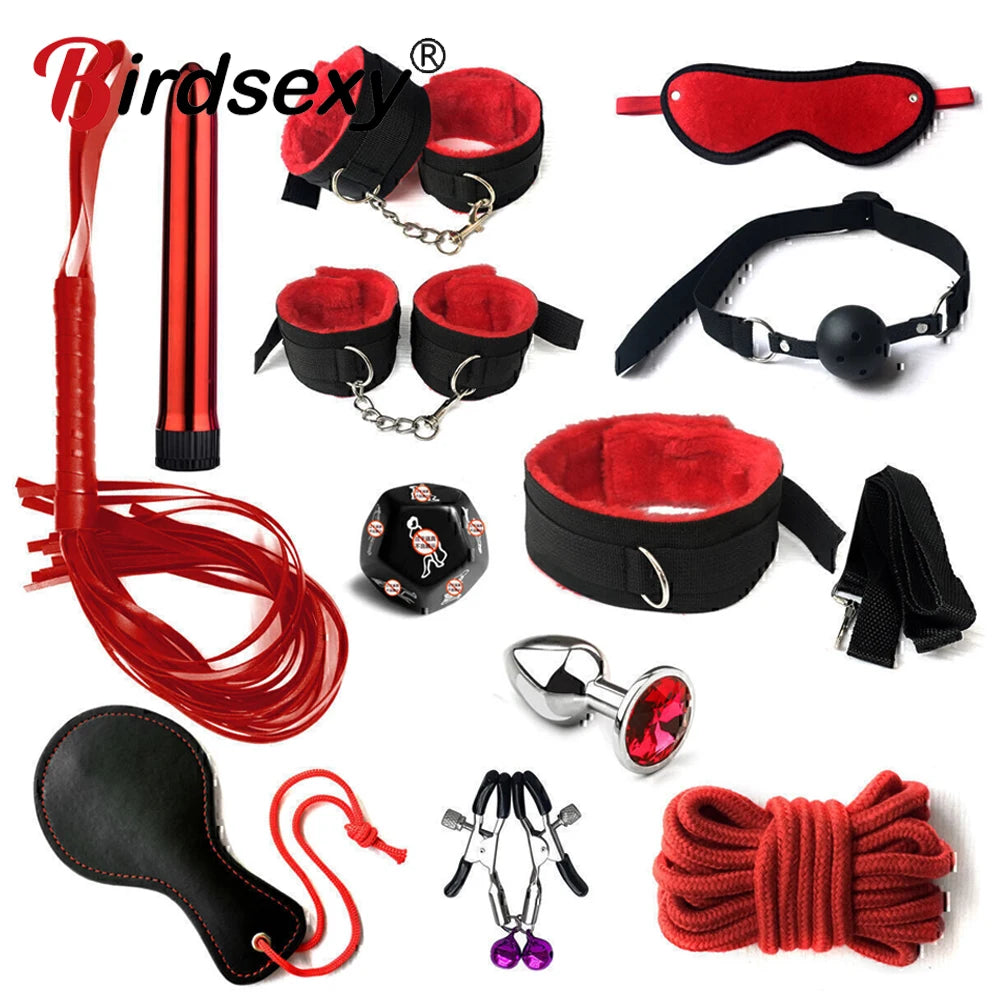 Complete BDSM Kit with Whip, Gag & Tail Plug