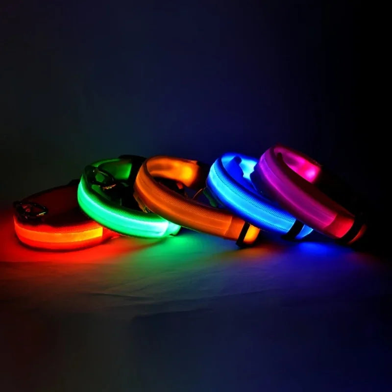 LED Nylon Dog Leash & Glowing Collar - Clickilix