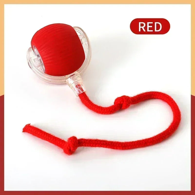 Smart Rolling Cat Toy Ball USB Rechargeable