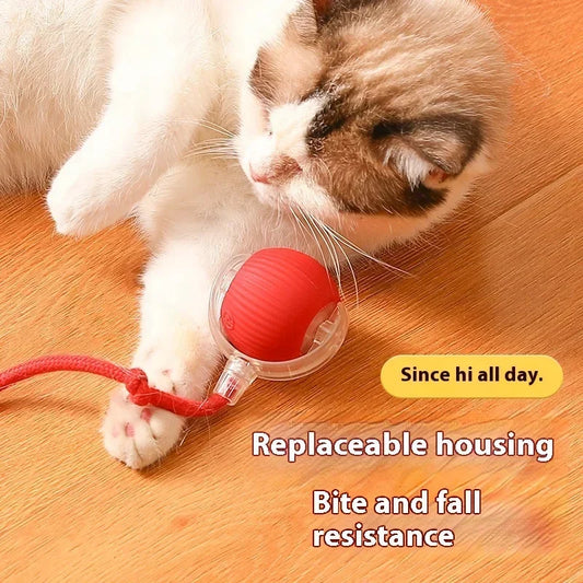 Smart Rolling Cat Toy Ball USB Rechargeable