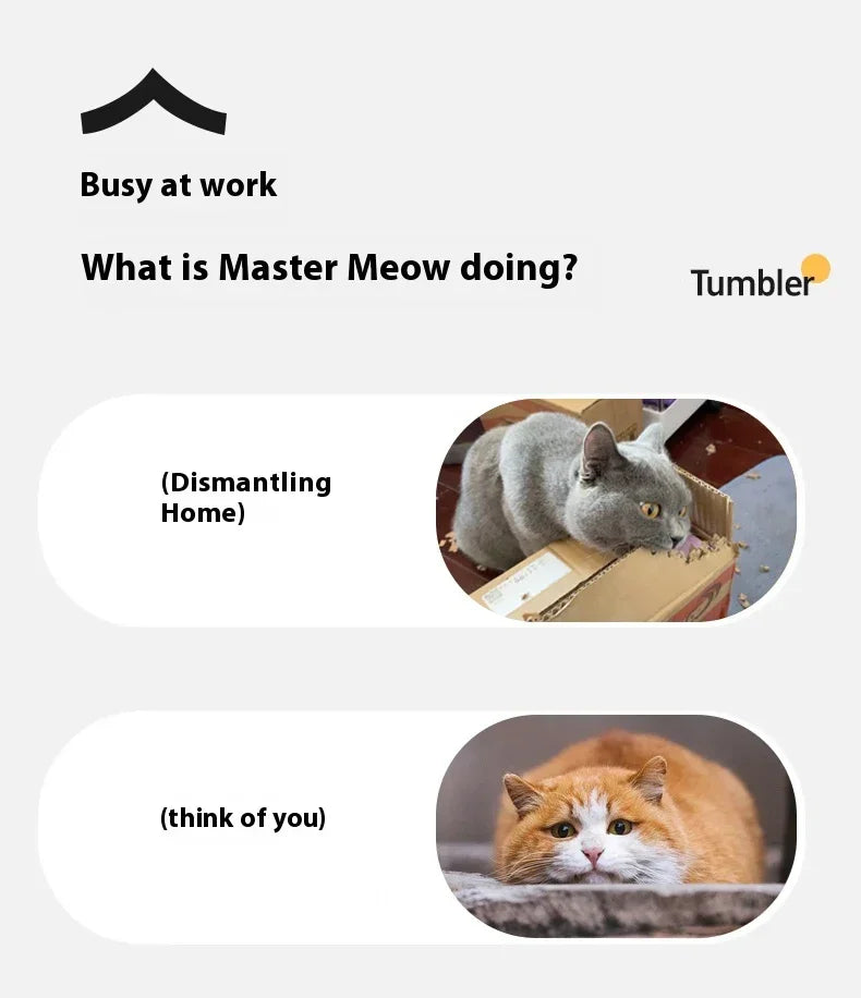 Smart Rolling Cat Toy Ball USB Rechargeable