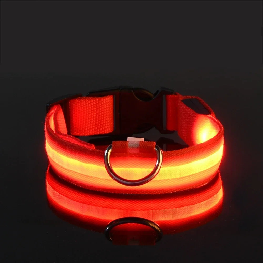 LED Nylon Dog Leash & Glowing Collar - Clickilix