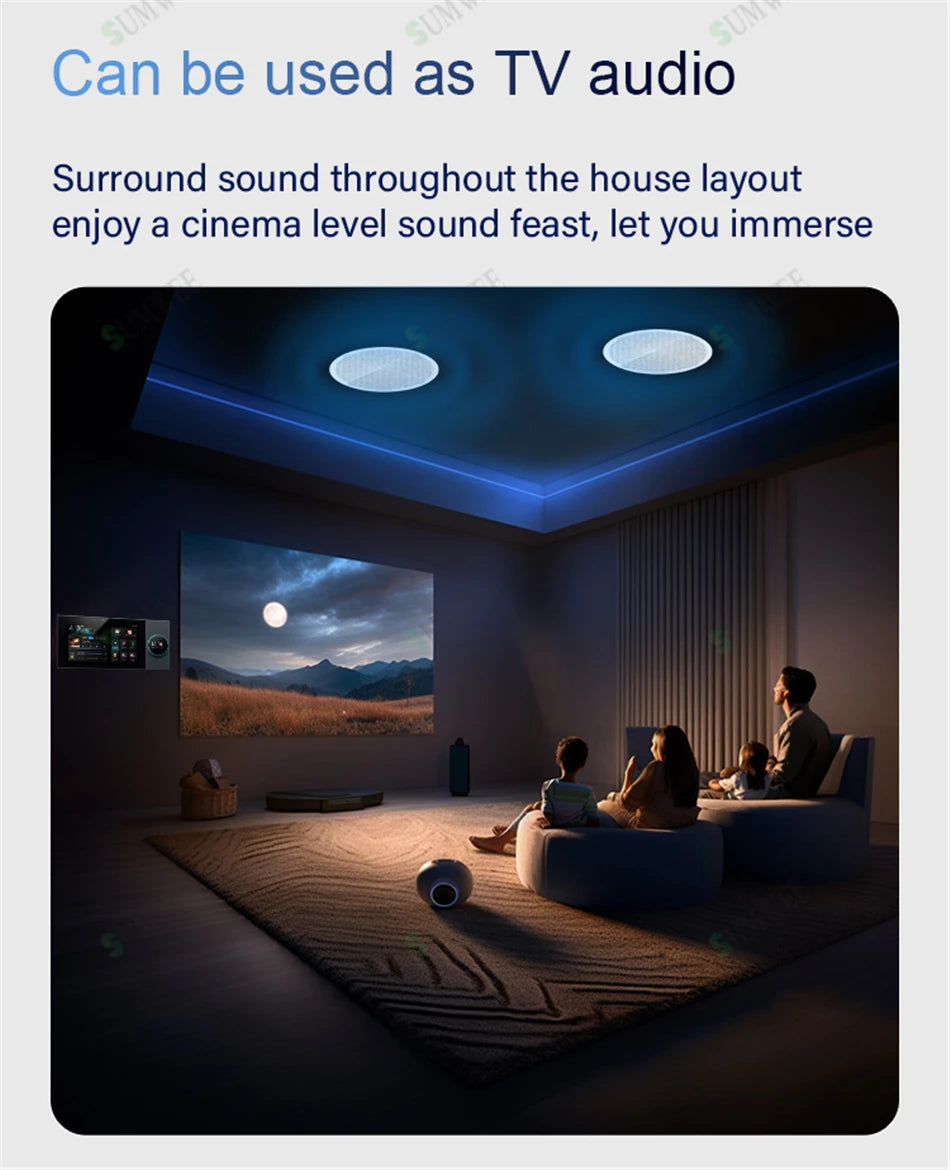 Smart In-Wall WiFi Audio System with Zigbee Hub