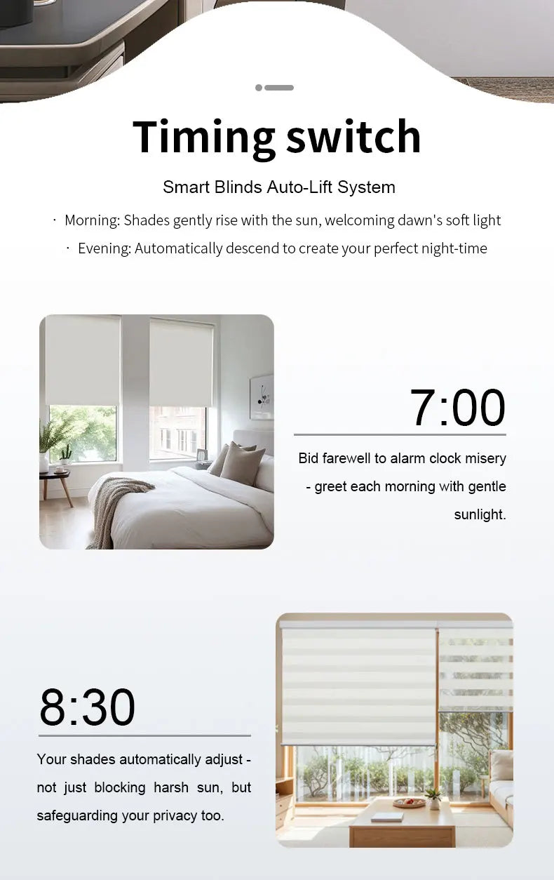 Smart Electric Chain Blinds Motor WiFi
