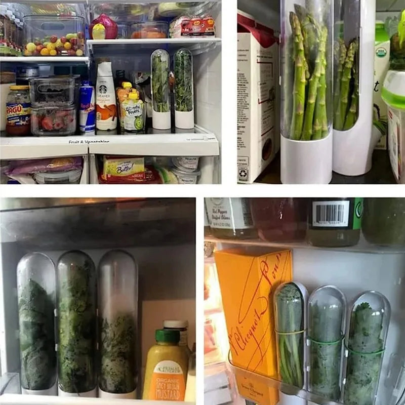 Herb Saver Container for Fresh Storage